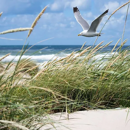 Апартаменты In Near Belgian Coast